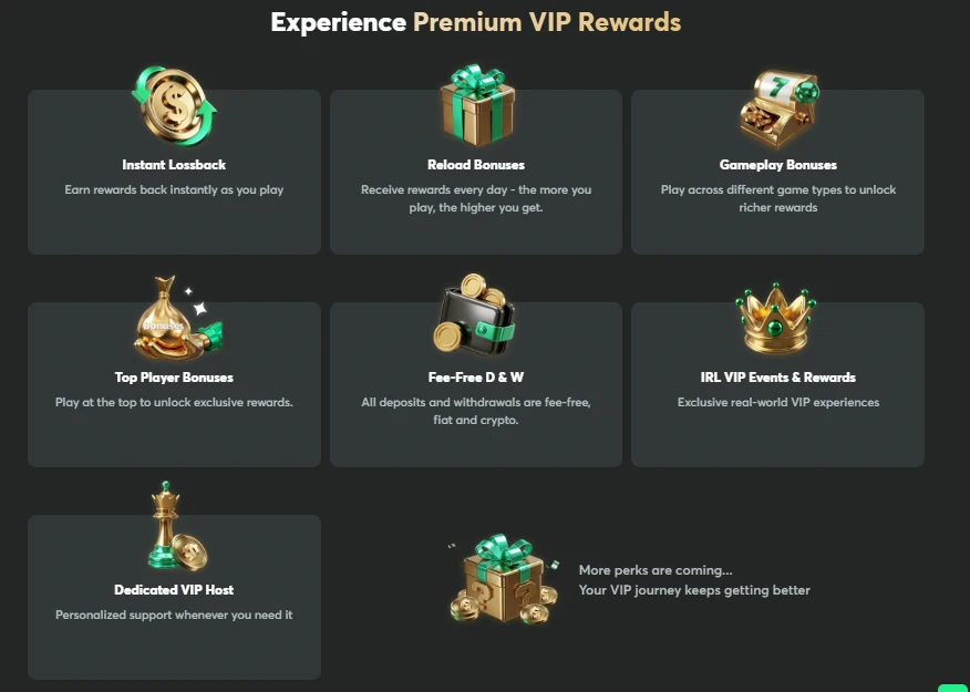 VIP Programme and Rewards
